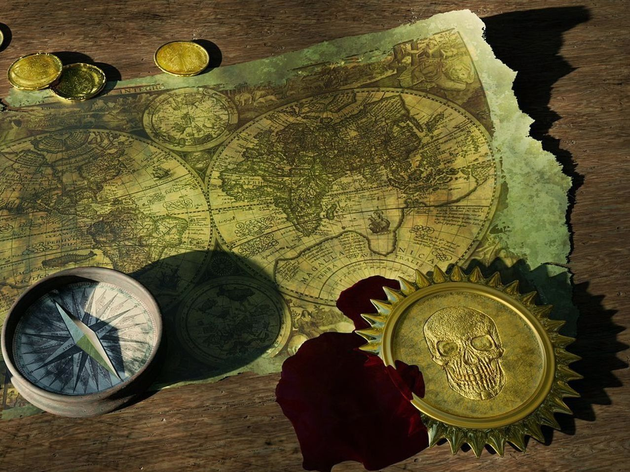 Detaylı magnifier ile inceleme